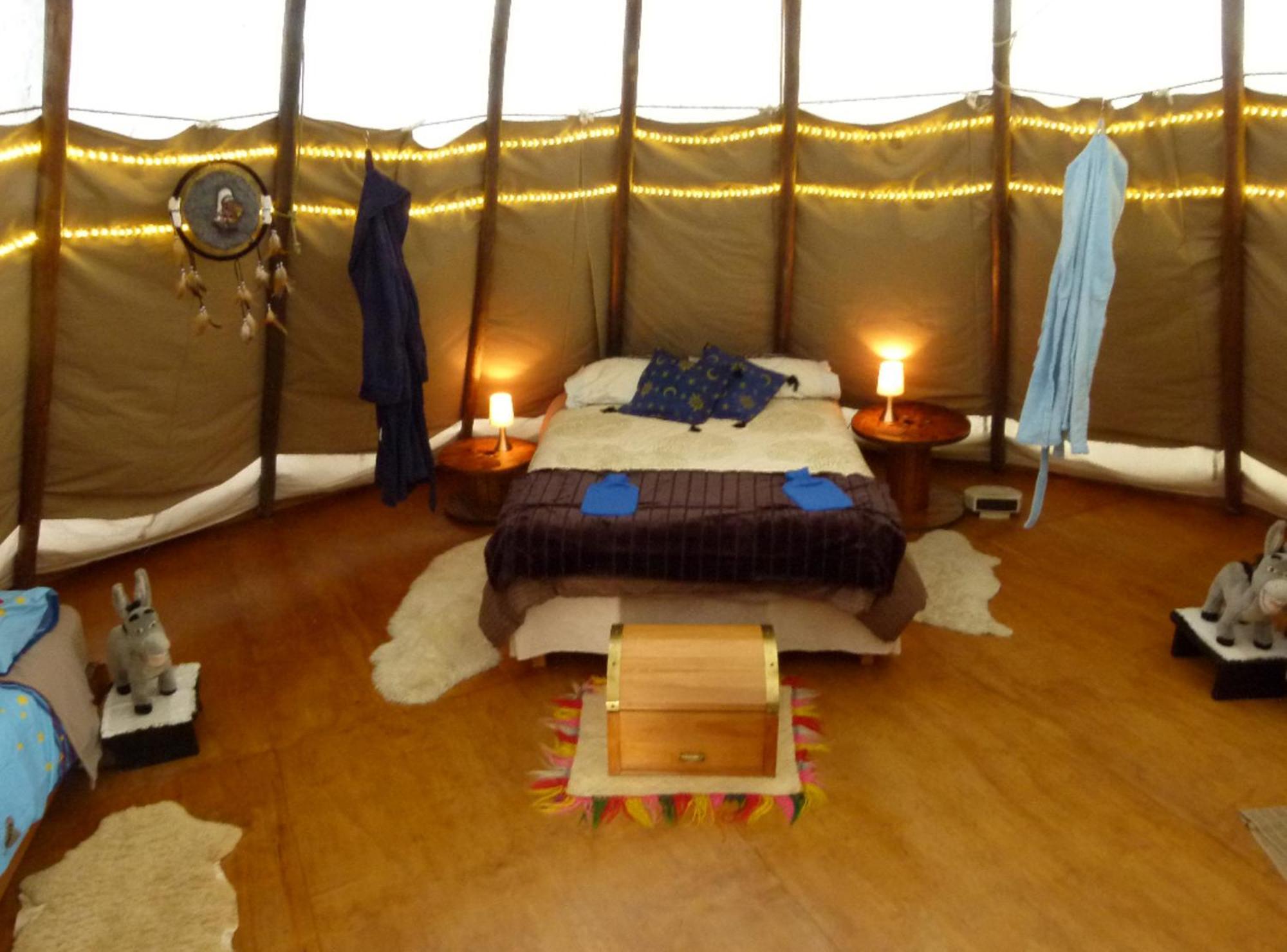Wacky Stays - Unique Farm-Stay Glamping Rentals, Free Animal Feeding Tours Kaikoura Exterior photo