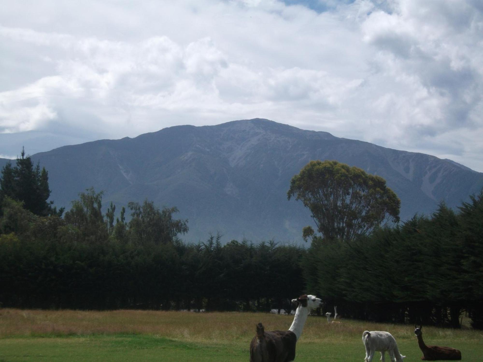 Wacky Stays - Unique Farm-Stay Glamping Rentals, Free Animal Feeding Tours Kaikoura Exterior photo
