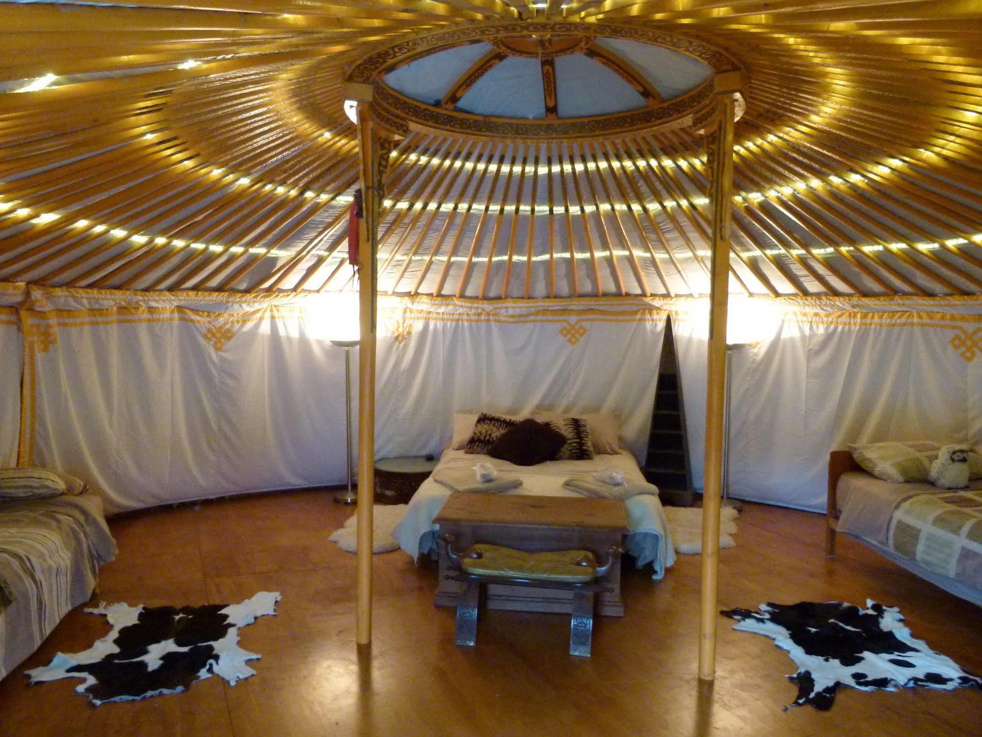 Wacky Stays - Unique Farm-Stay Glamping Rentals, Free Animal Feeding Tours Kaikoura Exterior photo