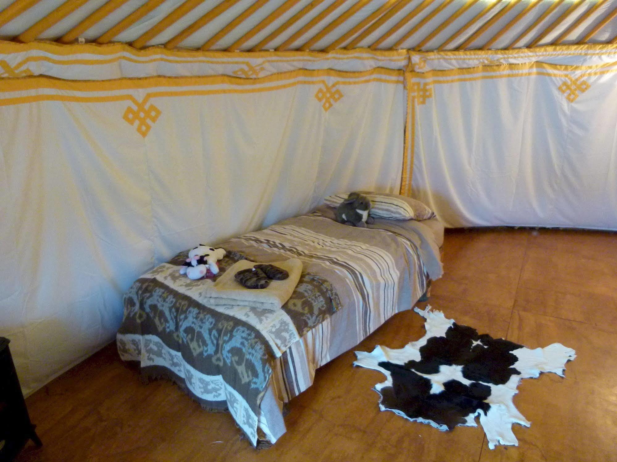 Wacky Stays - Unique Farm-Stay Glamping Rentals, Free Animal Feeding Tours Kaikoura Exterior photo