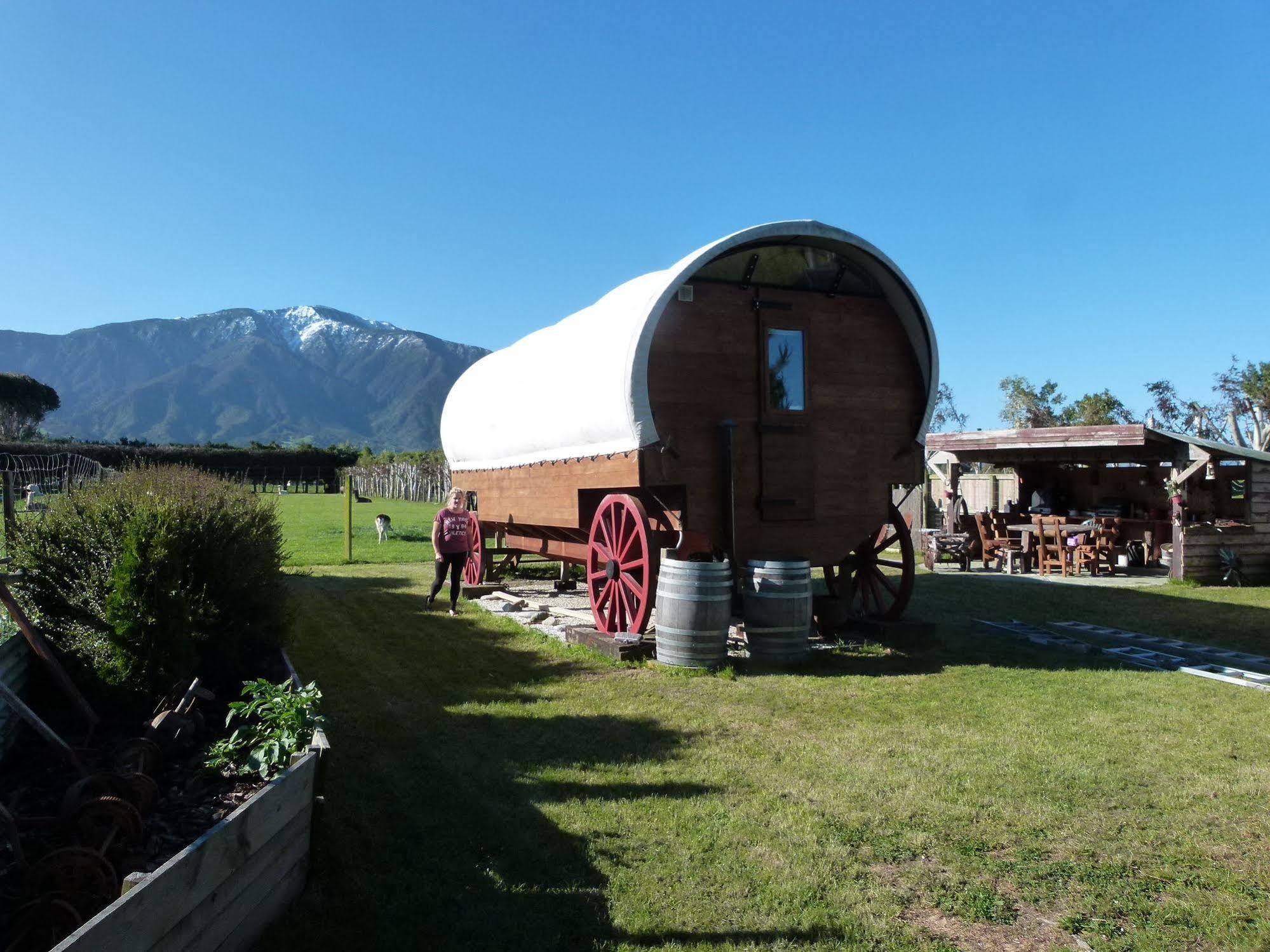 Wacky Stays - Unique Farm-Stay Glamping Rentals, Free Animal Feeding Tours Kaikoura Exterior photo